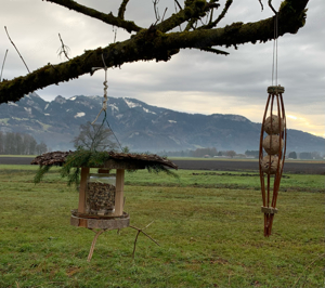 Vogelhäuschen Futterhäuschen Meisen