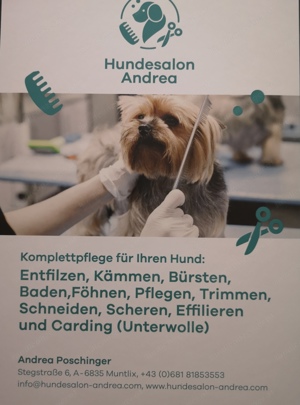 Hundesalon