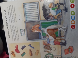 Tiptoibuch "Die welt der Pferde und Ponys Bild 2