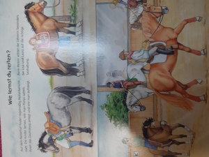 Tiptoibuch "Die welt der Pferde und Ponys Bild 3