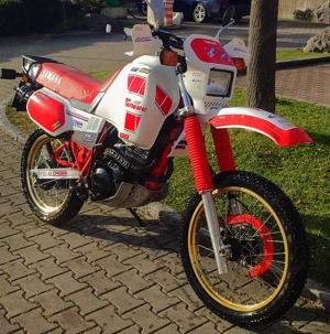 Yamaha xt500z Tenere 1vj Bild 2