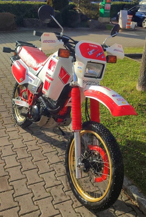 Yamaha xt500z Tenere 1vj Bild 4