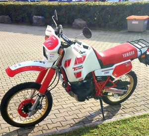 Yamaha xt500z Tenere 1vj Bild 3