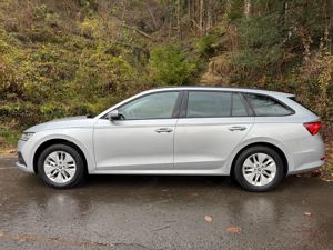 Skoda Octavia 150 TDI DSG Allrad Bild 10