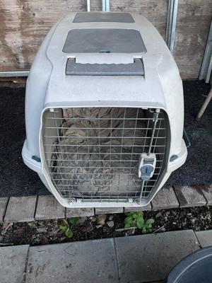 Hundebox fürs Auto