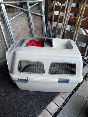 Hundebox fürs Auto Bild 3