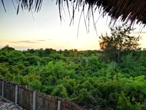 ZANZIBAR -Haus zu VERMIETEN oder verkaufen Bild 2