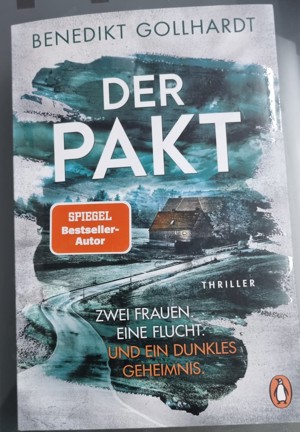 Viele Thriller 2024 Bild 8