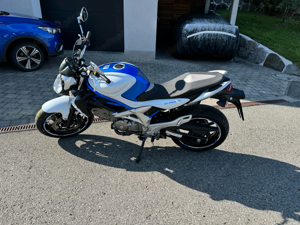 Suzuki SFV 650 Gladius Bild 2