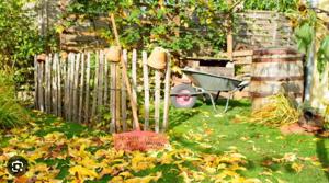 Suche Schrebergarten in Dornbirn, Lustenau oder Hohenems