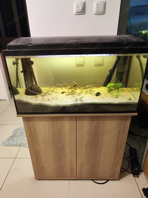 Aquarium Set Bild 3