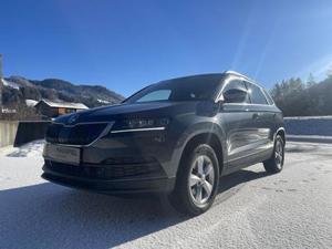 Skoda Karoq Bild 5