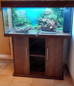 Juwel Aquarium Rio 180