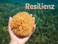 Mini-Workshop: Mehr Leichtigkeit im Alltag   Resilienz und Selbstwert stärken