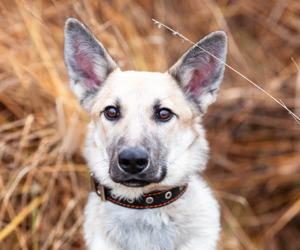 Teenager Bruno sucht eine Familie.