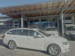 Skoda Octavia Bild 1