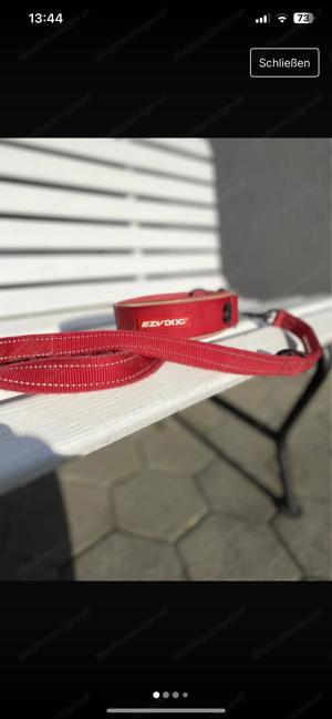 Halsband Leine Set Hund