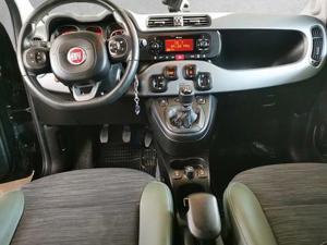 Fiat Panda Bild 7