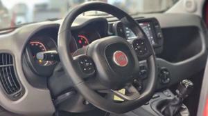 Fiat Panda Bild 15