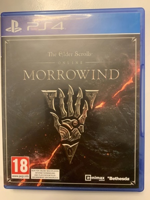 PS4 Spiel The Elder Scrolls Morrowind 