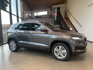 Skoda Karoq Bild 3