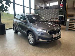 Skoda Karoq Bild 2