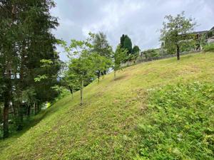 Wiese zur Beweidung in Hanglage