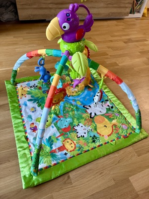 Fisher-Price Rainforest Erlebnisdecke Spielbogen