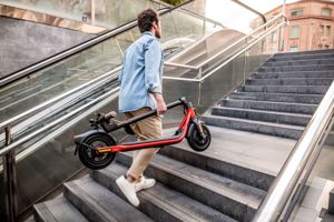 Segway-Ninebot D28D, E Scooter mit Straßenzulassung für Erwachsene, max. 20 km  h Geschwindigkeit, 2