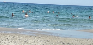 Suche eine liebevolle und humorvolle Frau Bild 6