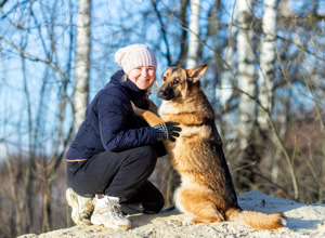 Schäferhundmix Rosie sucht ein Zuhause. Bild 10