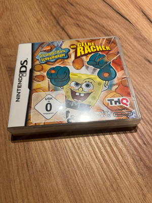 Nintendo DS Spiel