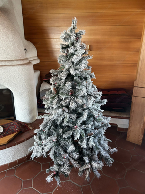 Weihnachtsbaum