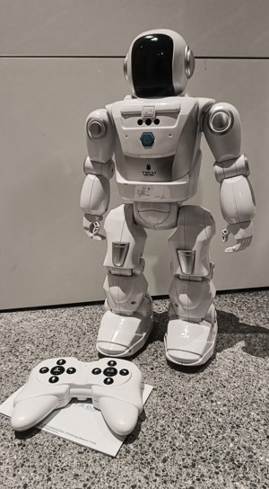 Roboter mit Fernbedienung 