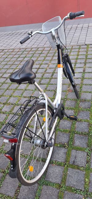 Alu-Rex Damenfahrrad 