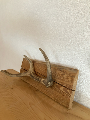 Hirschgeweih Garderobe 