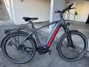 E-Bike Victoria Adventure 11.9 Bild 4