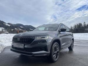 Skoda Karoq Bild 6