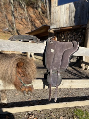 Brockamp Reitpad Bareback Spezial (Größe Pony)