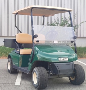 EZ GO Golfcart bj 2012