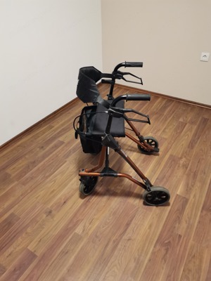 Rollator Dietz Taima M mit Rückengurt. Bild 2