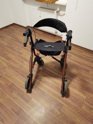 Rollator Dietz Taima M mit Rückengurt. Bild 3