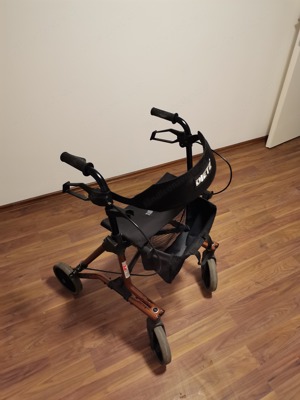 Rollator Dietz Taima M mit Rückengurt. Bild 4