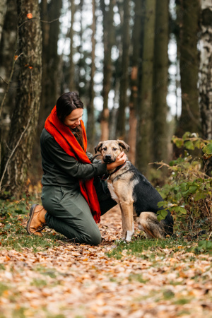 Junger und freundlicher Hund Gor sucht eine Familie Bild 8