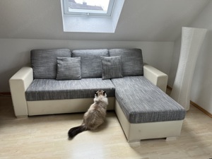 Couch zu verschenken Bild 3