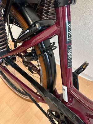 E-Bike Elektrofahrrad Riese&Müller Swing4 silent RH46 Bild 4