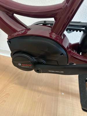 E-Bike Elektrofahrrad Riese&Müller Swing4 silent RH46 Bild 5