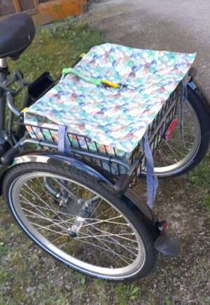 Dreirad, Elektro, Neu, Pfautec Bild 4