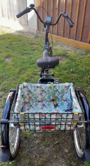 Dreirad, Elektro, Neu, Pfautec Bild 5