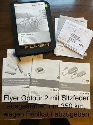 Elektrofahrrad Flyer Tour Urban Bild 4